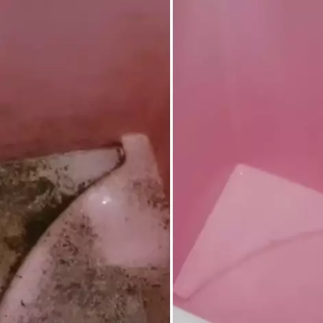 Tanpa digosok kuat, ini cara ampuh bersihkan lumut di bak kamar mandi cuma pakai 2 bahan dapur