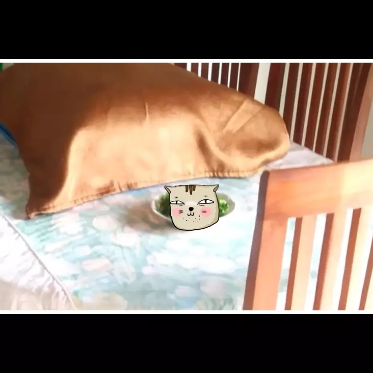 Tanpa menggantung plastik isi air, ini trik simpel usir lalat dari meja makan cukup pakai 1 jenis daun