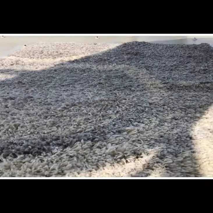 Tak perlu dicuci dan disikat, begini cara basmi bau apek di karpet bermodal 1 bahan dapur