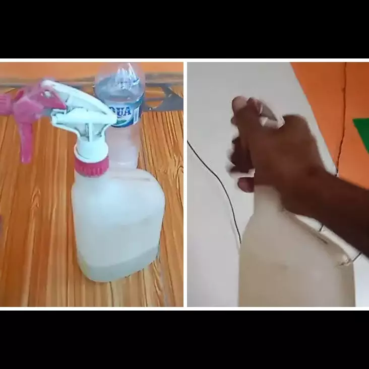 Tanpa bikin perangkap, ini trik simpel bikin ramuan pengusir cicak pakai tambahan 1 bahan dapur