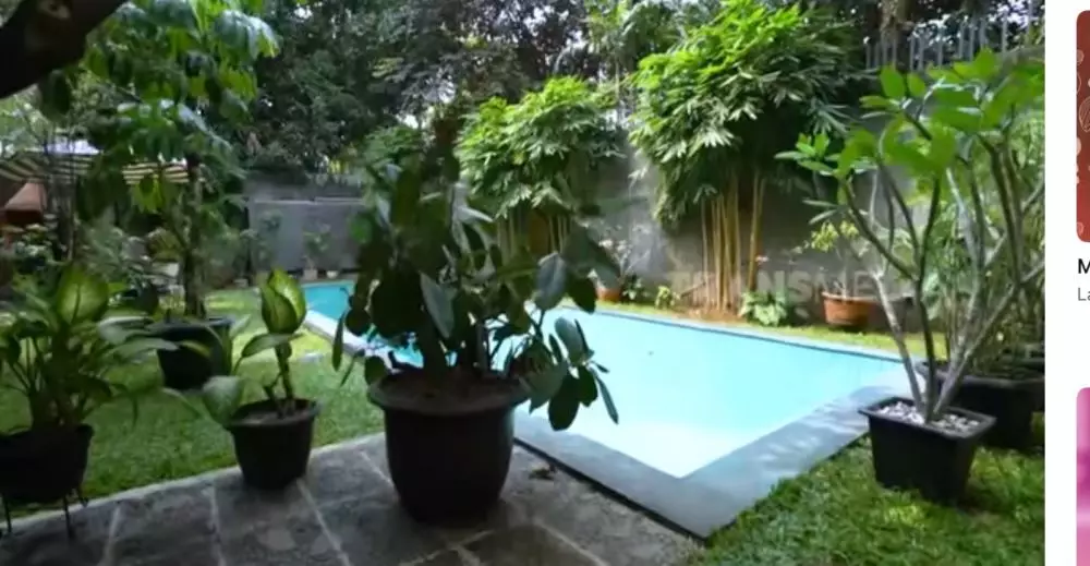 taman di rumah Rina Nose © 2024 brilio.net