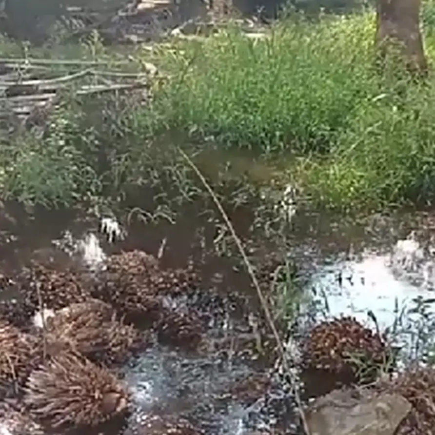 Definisi rejeki tak tertukar, momen kakek mancing seadanya ini hasilnya malah bikin iri pemancing lain