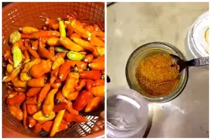 Bukan dijemur atau dioven dulu, ini trik bikin cabai bubuk agar warnanya tetap merah cuma pakai 1 alat