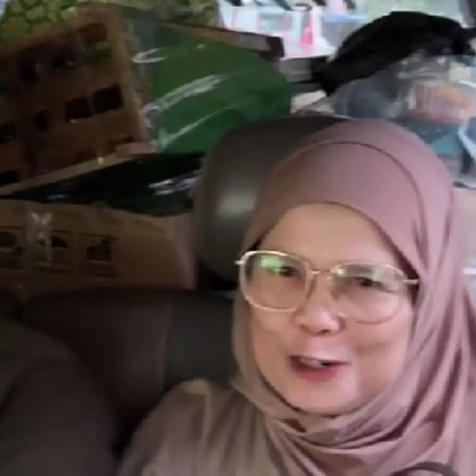 Serasa pindahan rumah, momen pria bawa banyak barang hingga tanaman saat mudik ini bikin geleng kepala