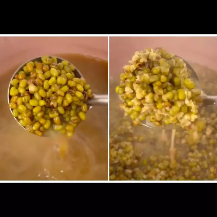 Matang dalam 12 menit, ini trik cepat merebus kacang hijau agar hasilnya empuk tanpa proses perendaman