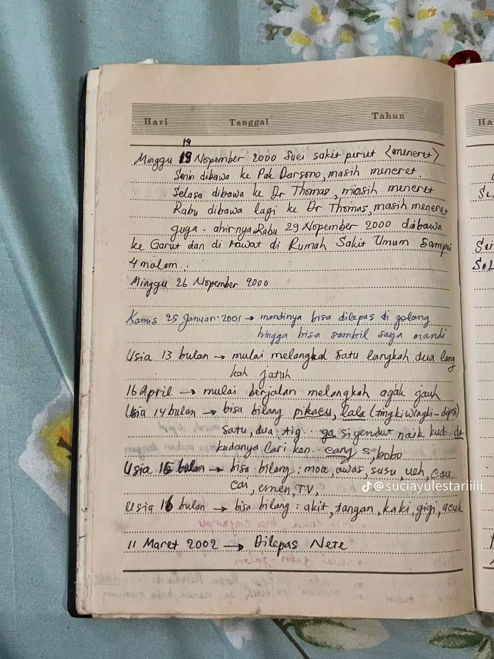 ternyata begini isi tulisannya © TikTok ternyata begini isi tulisannya © TikTok