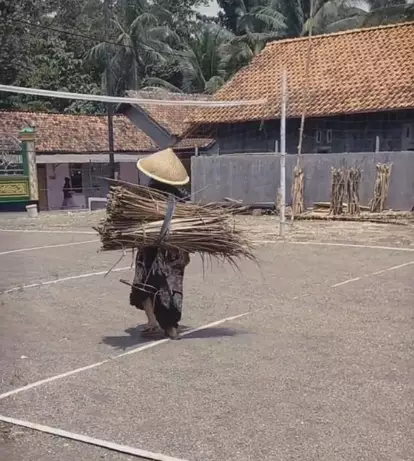 nenek pencari daun ini ternyata sultan di kampung TikTok/@misterkonde3
