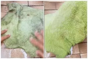 Bersih dan kesat tanpa sitrun, cara mamah muda cuci lap dapur dekil ini cuma pakai 2 bahan dapur