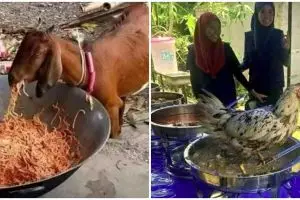 Momen bahagia mendadak ambyar, 11 potret kocak kejadian apes makanan di hajatan ini bikin meringis