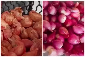 Bukan direndam air panas, trik cepat kupas bawang merah ini tak perlu satu-satu dan tanpa drama nangis