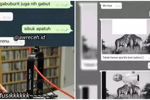 11 Chat lucu ditolak blak-blakkan ini bikin malu, definisi hasil mengkhianati usaha