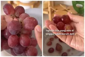 Tanpa pakai cuka, begini trik hilangkan lapisan lilin pada anggur cuma pakai 2 bahan dapur