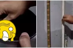 Bukan pakai racun, cara unik pria bikin jebakan tikus ini idenya sukses bikin nyengir