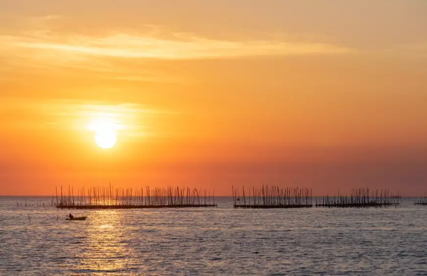 Sunset quotes estetik freepik.com