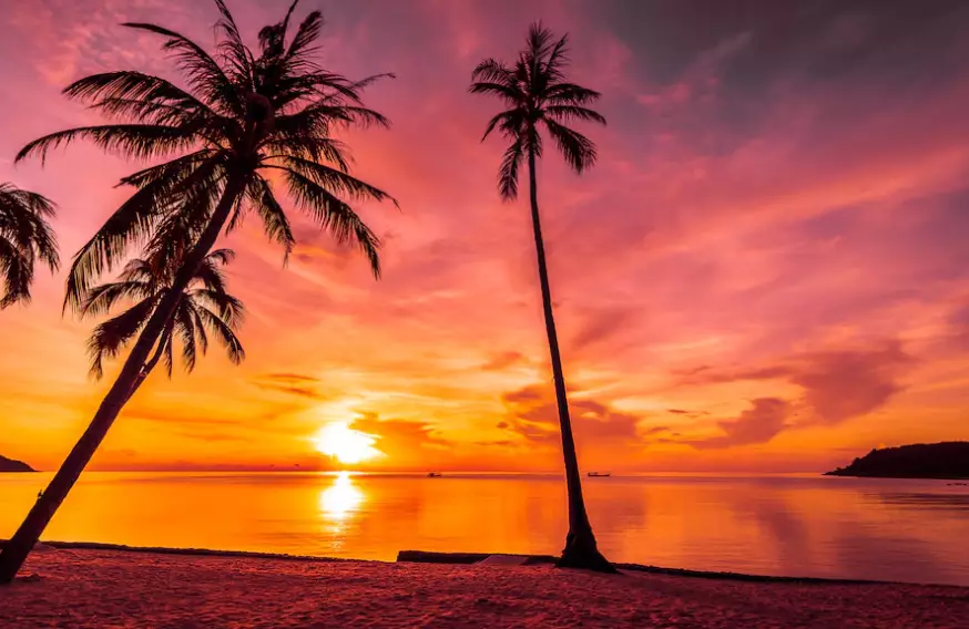 Sunset quotes estetik freepik.com