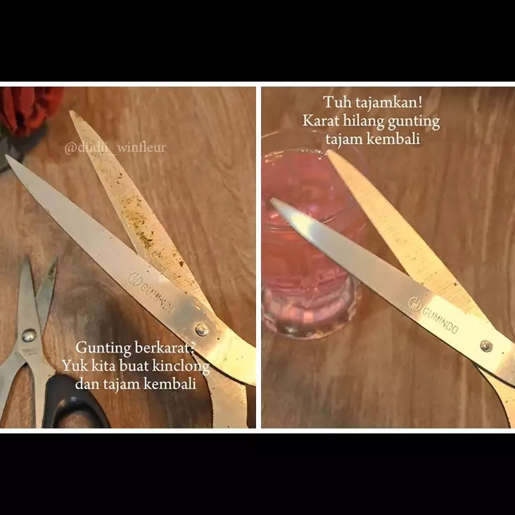Tanpa diamplas, begini trik praktis perbaiki gunting tumpul dan karatan agar cepat tajam