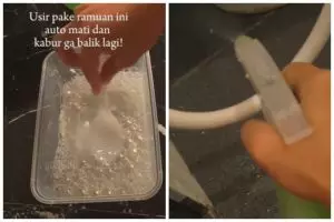 Bukan meletakkan kapur barus, ini trik agar kamar mandi bebas kecoak cukup tambah 2 bahan dapur