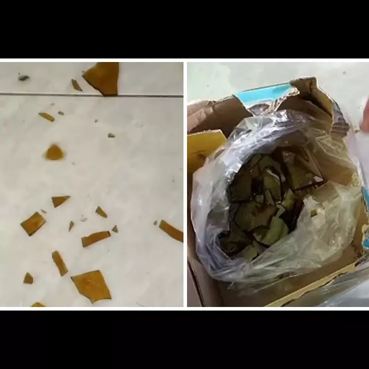 Bukan disapu, ini cara aman bersihkan pecahan piring kaca di lantai cuma pakai 2 alat sederhana