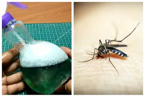 Modal 1 bahan dapur, ini cara bikin obat nyamuk sederhana, ampuh, dan bebas bau asap menyengat