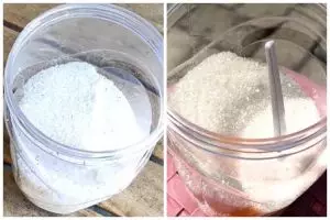 Tanpa perlu dijemur, begini cara mengusir semut dari toples gula dengan cepat pakai 1 bumbu dapur