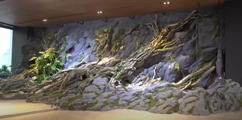 potret kolam renang Atta Halilintar ada pohon yang disebut di Alquran © 2024 brilio.net potret kolam renang Atta Halilintar ada pohon yang disebut di Alquran © 2024 brilio.net