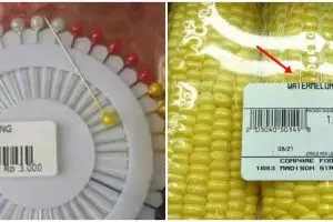 11 Potret kocak salah tulis di label barang ini bikin salah fokus, sepele tapi fatal nih