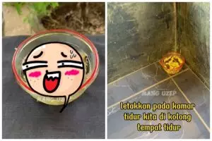 Tak keluarkan bau asap menyengat, ini trik bikin obat nyamuk sederhana dan ampuh modal 1 bahan dapur