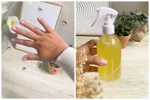 Bebas bau asap menyengat, cara ibu muda bikin obat nyamuk ini ampuh cuma modal 1 ampas dapur