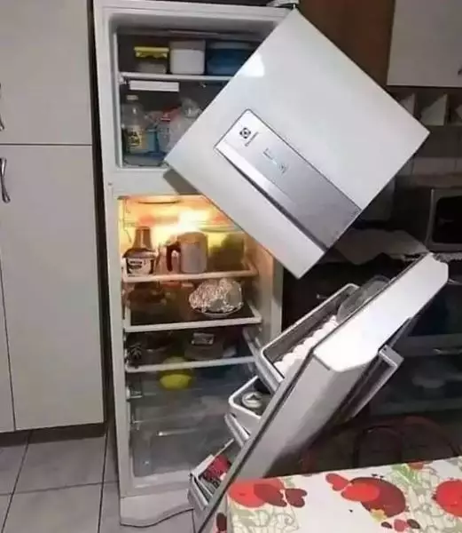 Potret kocak momen apes ketika masak di dapur Berbagai sumber