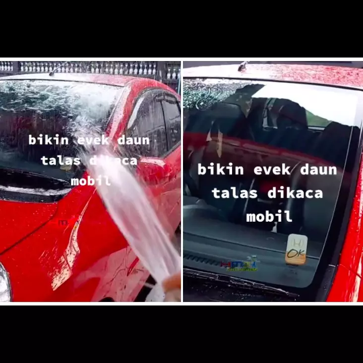 Bukan digosok sabun, ini cara hilangkan jamur di kaca mobil agar kinclong pakai 1 jenis sayuran