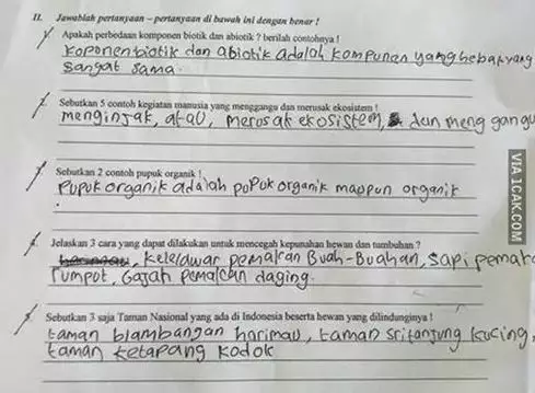 Jawaban kocak anak IPA saat ujian Berbagai sumber Jawaban kocak anak IPA saat ujian Berbagai sumber