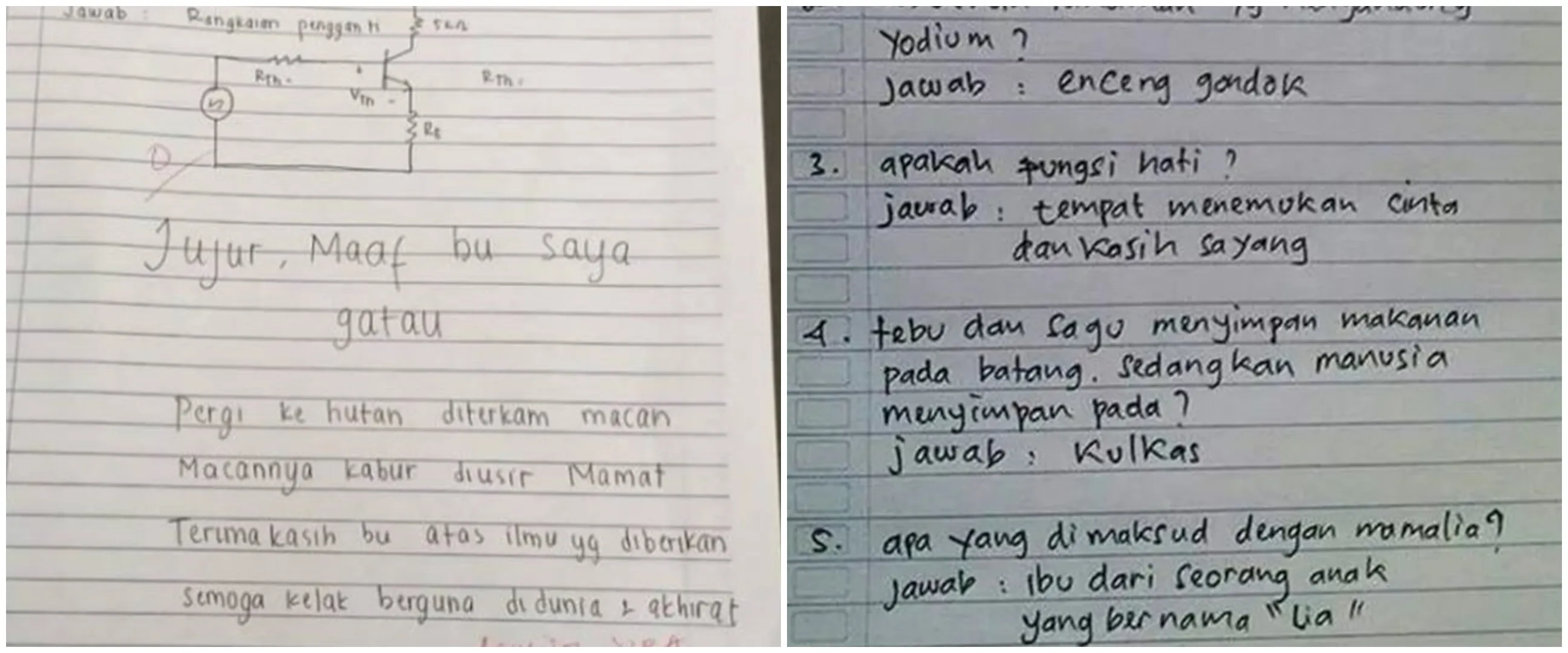 11 Jawaban kocak anak IPA saat ujian ini definisi kondisi otak sudah tidak berdaya, bikin nyengir kuda