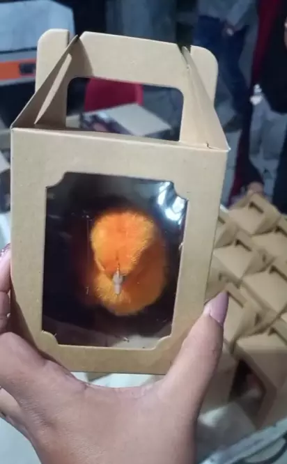 souvenir pernikahan TikTok/@tompelbashid