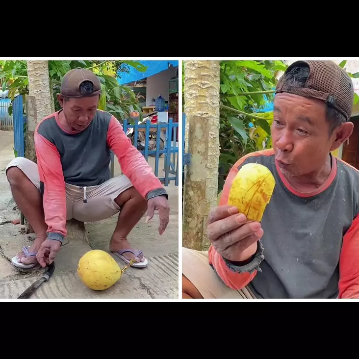 Aksi bapak-bapak tunjukkan fungsi lain sabut kelapa ini bukti cerdik saat kepepet, idenya boleh juga