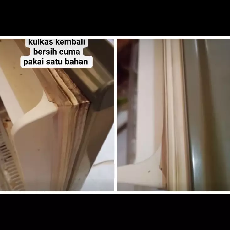 Bukan digosok sabun dan pasta gigi, ini trik basmi jamur di karet pintu kulkas andalkan 1 bahan dapur