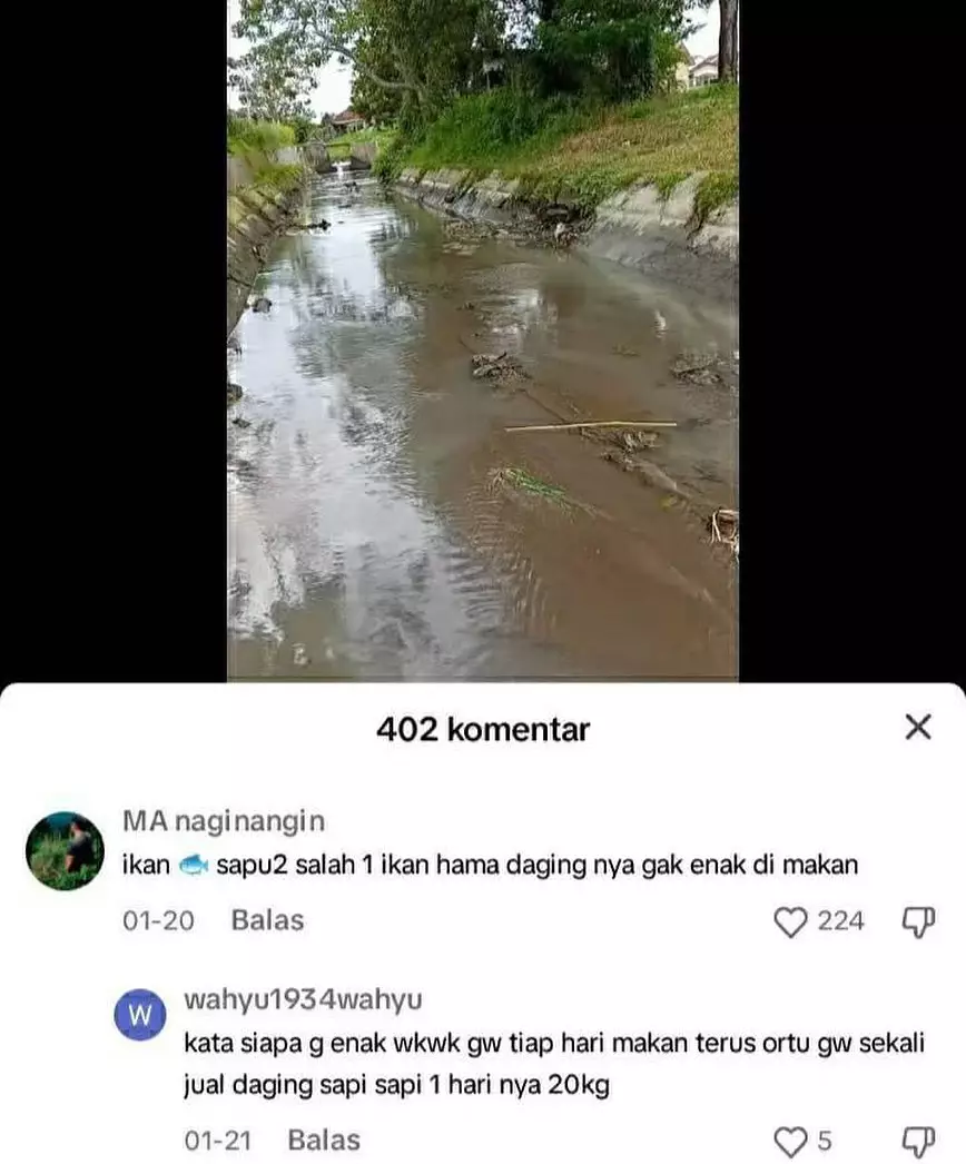 komentar TikTok soal makanan © Instagram