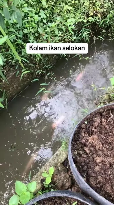 potret barang bekas diubah jadi perabot unik TikTok potret barang bekas diubah jadi perabot unik TikTok