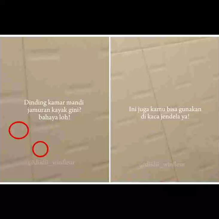 Bukan digosok sitrun, ini cara hilangkan jamur di dinding kamar mandi pakai tambahan 2 bahan dapur