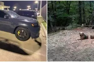 Amati dengan teliti, 11 potret kocak posisi benda menipu mata ini bikin lihat dua kali