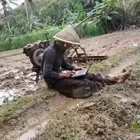 kelakuan petani di luar prediksi  berbagai sumber