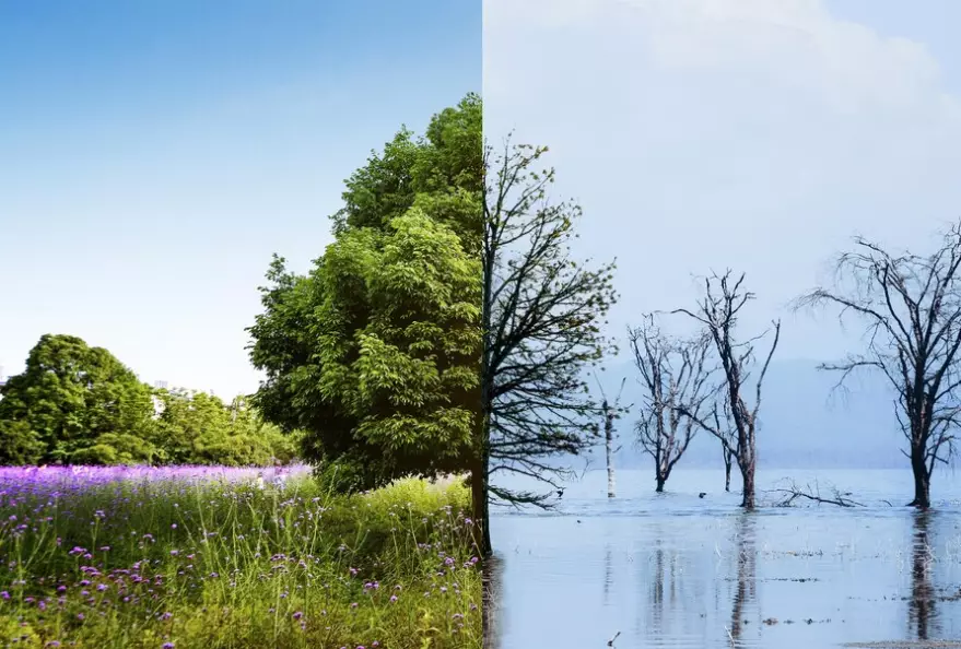 Kesehatan terancam freepik.com Kesehatan terancam freepik.com