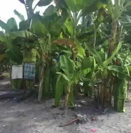 bungkus makanan © Instagram