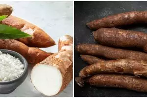 9 Manfaat singkong untuk kesehatan, superfood yang dapat melawan kanker lambung