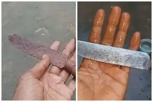 Without rubbing it with bricks, this is how to clean rusty knives so they shine using 2 kitchen ingredients