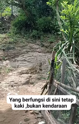 paket di tengah hutan © Instagram