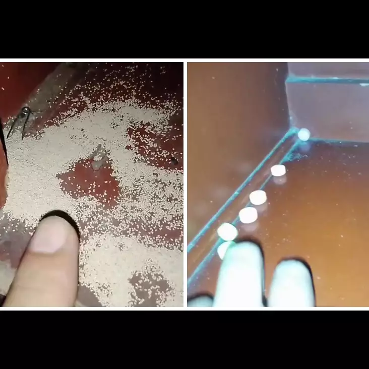 Bukan disemprot larutan sabun, ini cara ampuh usir rayap di perabotan kayu cuma tambah 1 bumbu dapur