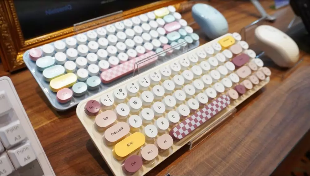 WOOK Global Technology © 2024 brilio.net