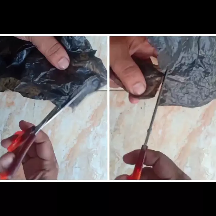 Bukan digosok kertas amplas, begini trik ampuh menajamkan gunting tumpul cuma pakai 1 alat dapur