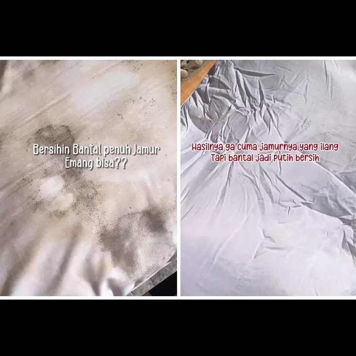 Tanpa perlu disikat, ini cara praktis hilangkan noda jamur di bantal cuma tambah 1 bahan dapur
