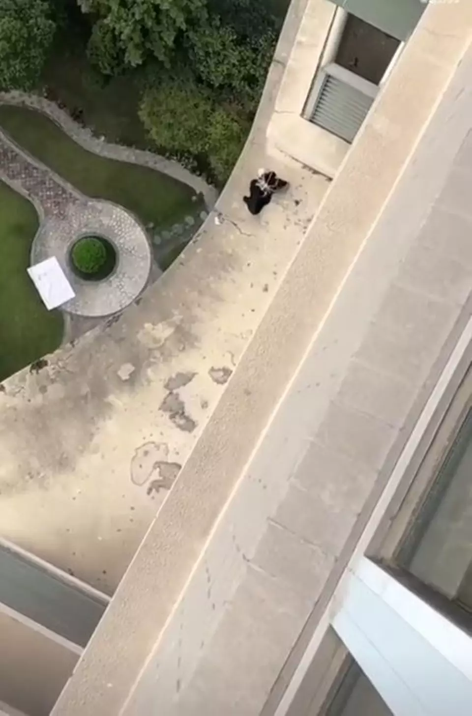 Lifehack nyeleneh ambil baju pakai kepiting Berbagai sumber